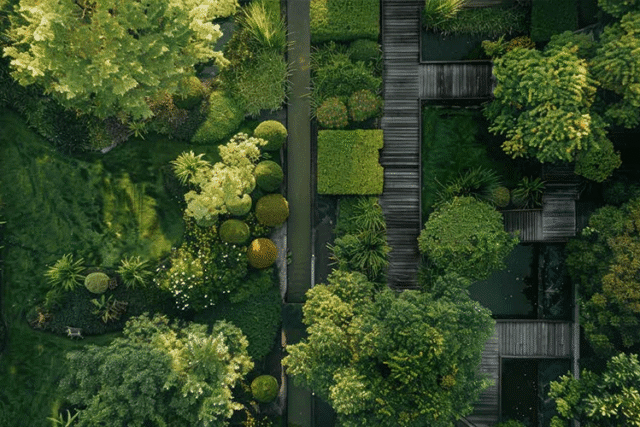 Godrej Vrikshya Gurgaon